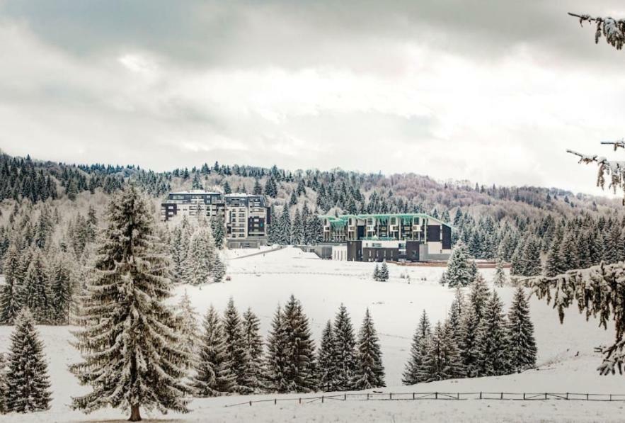Charming 3-Bedroom Apartment Poiana Brasov Exterior foto